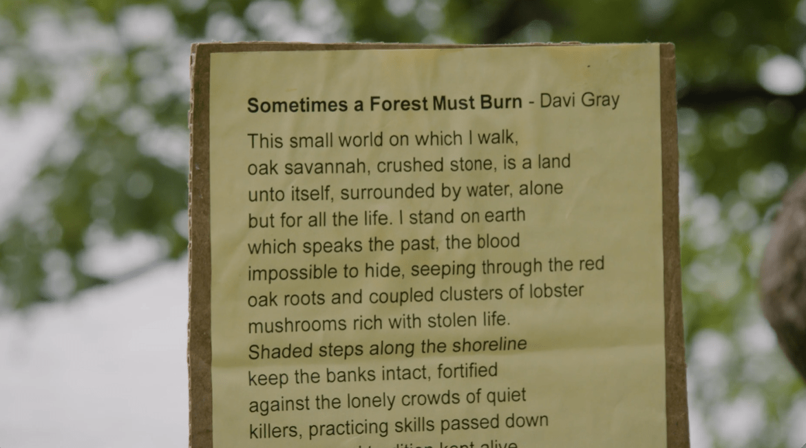 Photograph of most of the poem "Sometimes a Forest Must Burn," by Davi Gray, printed out and posted on cardboard. In the background, blurred trees.