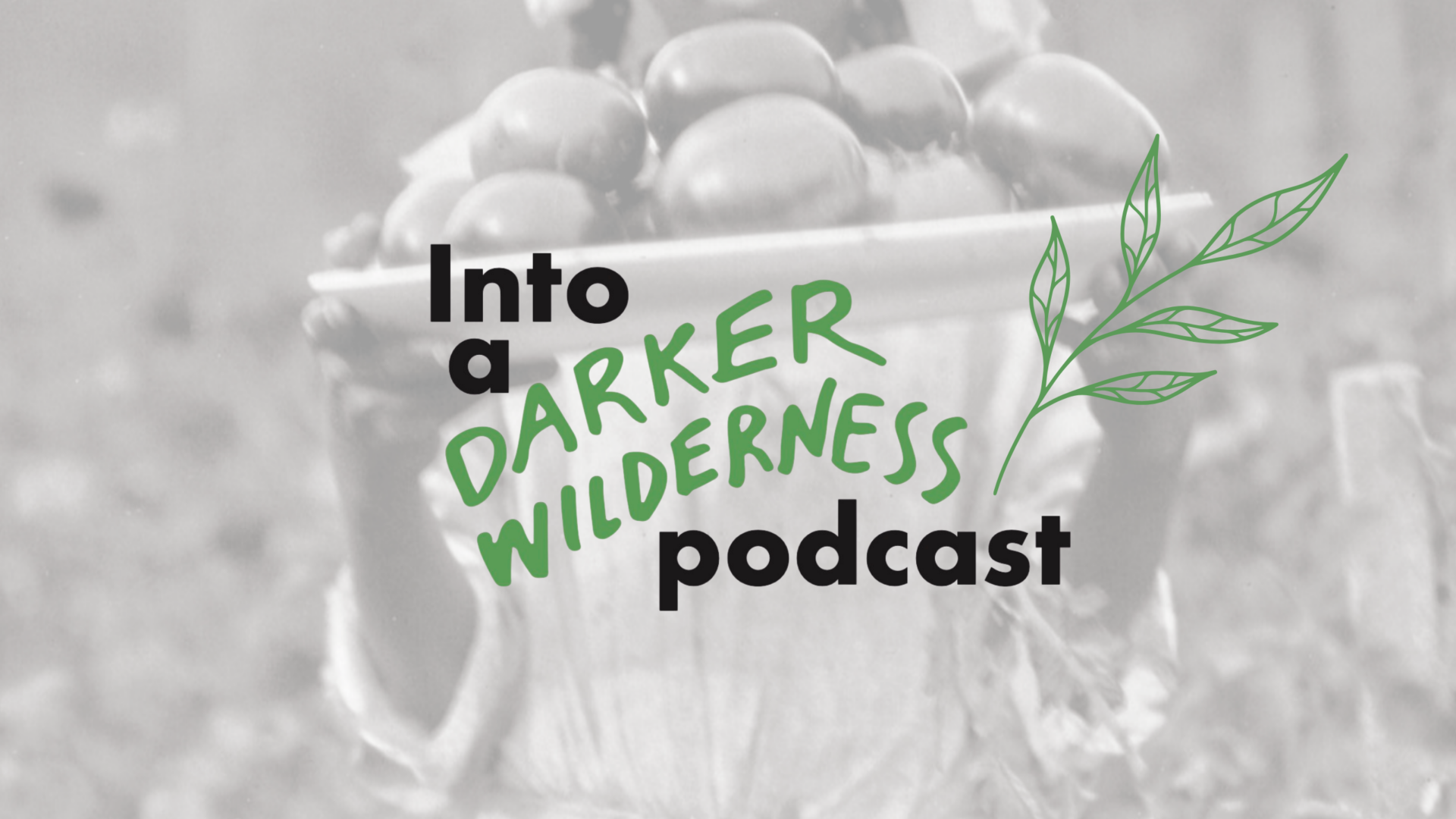 Into a Darker Wilderness podcast banner graphic